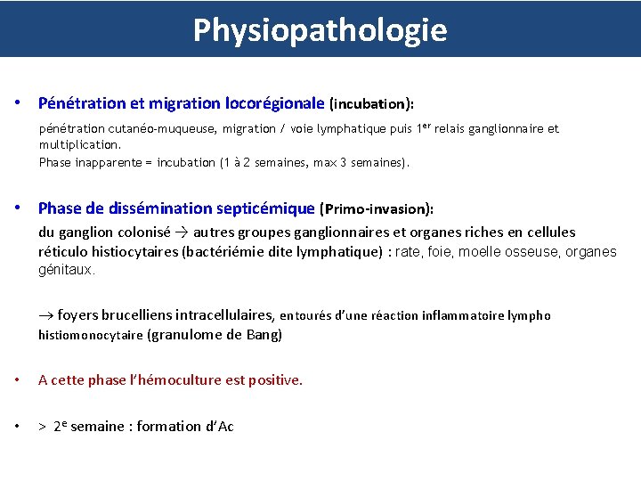 Physiopathologie • Pénétration et migration locorégionale (incubation): pénétration cutanéo-muqueuse, migration / voie lymphatique puis