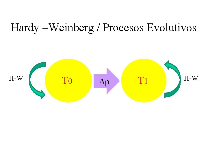 Hardy –Weinberg / Procesos Evolutivos H-W T 0 p T 1 H-W 