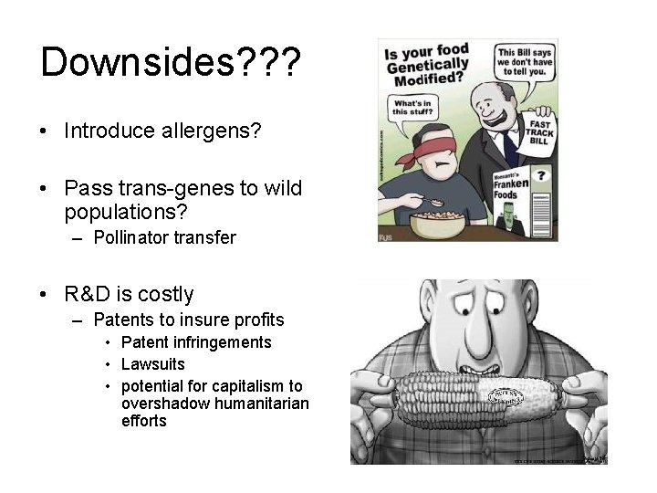 Downsides? ? ? • Introduce allergens? • Pass trans-genes to wild populations? – Pollinator