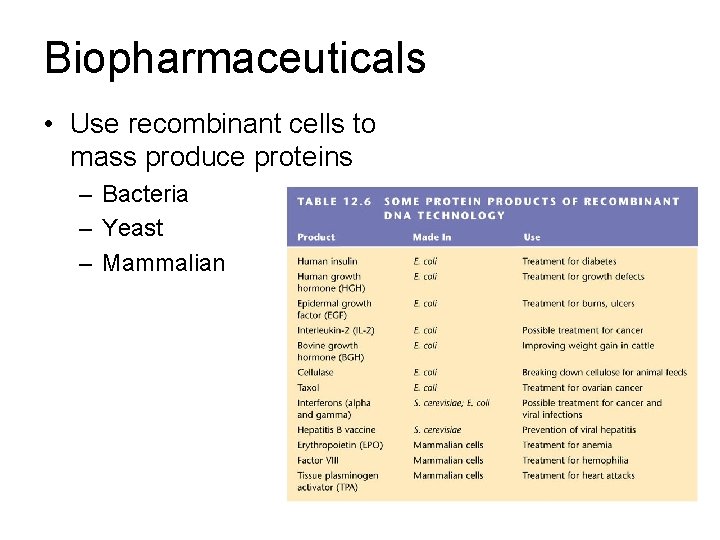 Biopharmaceuticals • Use recombinant cells to mass produce proteins – Bacteria – Yeast –