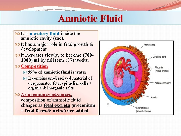 Amniotic Fluid It is a watery fluid inside the amniotic cavity (sac). It has