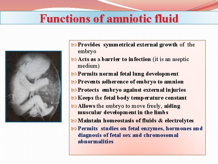 Functions of amniotic fluid Provides symmetrical external growth of the embryo Acts as a