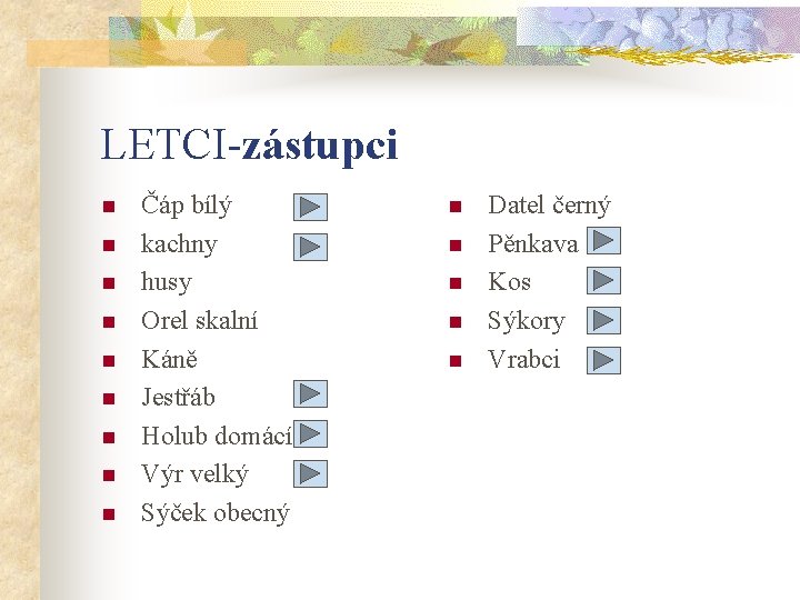 LETCI-zástupci n n n n n Čáp bílý kachny husy Orel skalní Káně Jestřáb
