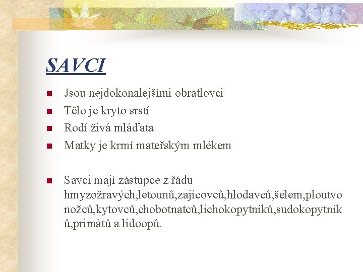 SAVCI n n n Jsou nejdokonalejšími obratlovci Tělo je kryto srstí Rodí živá mláďata