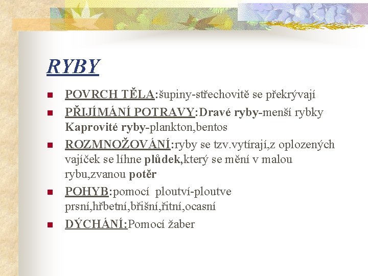RYBY n n n POVRCH TĚLA: šupiny-střechovitě se překrývají PŘIJÍMÁNÍ POTRAVY: Dravé ryby-menší rybky
