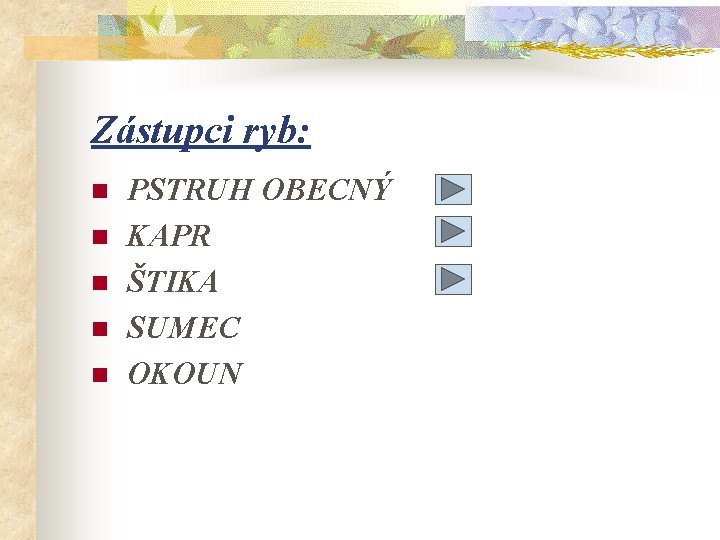 Zástupci ryb: n n n PSTRUH OBECNÝ KAPR ŠTIKA SUMEC OKOUN 