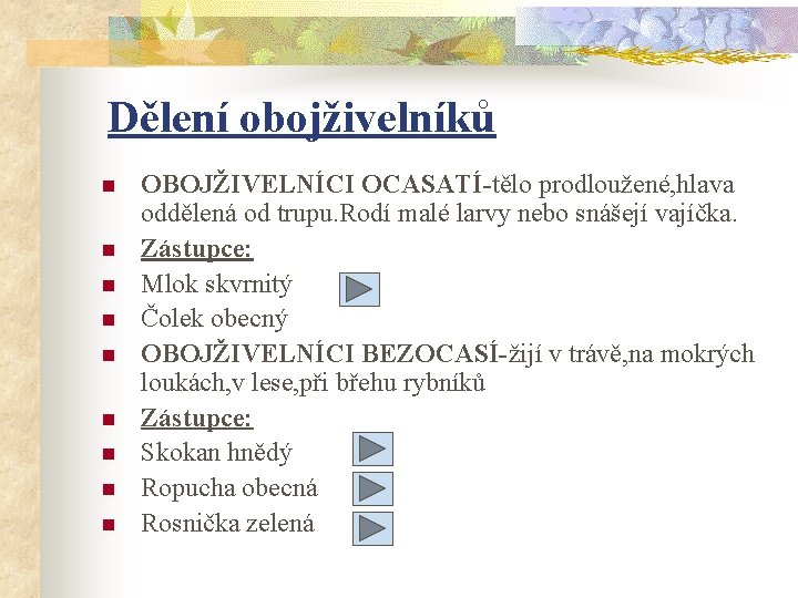 Dělení obojživelníků n n n n n OBOJŽIVELNÍCI OCASATÍ-tělo prodloužené, hlava oddělená od trupu.