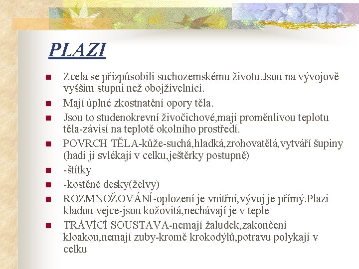 PLAZI n n n n Zcela se přizpůsobili suchozemskému životu. Jsou na vývojově vyšším
