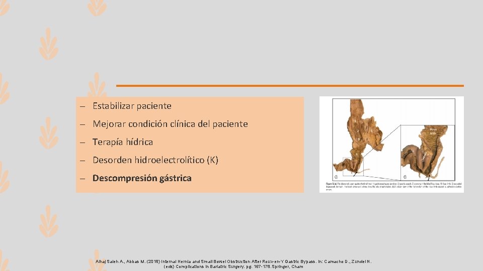 – Estabilizar paciente – Mejorar condición clínica del paciente – Terapía hídrica – Desorden