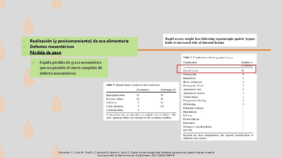 - Realización (y posicionamiento) de asa alimentaria - Defectos mesentéricos - Pérdida de peso