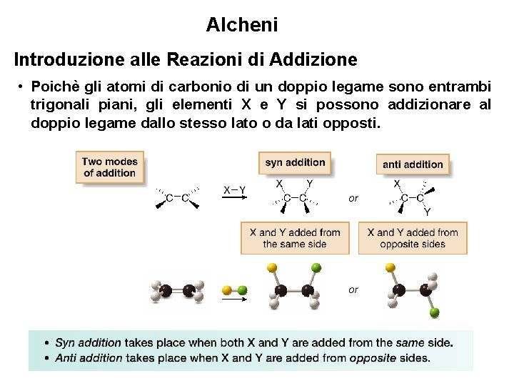 Alcheni Introduzione alle Reazioni di Addizione • Poichè gli atomi di carbonio di un