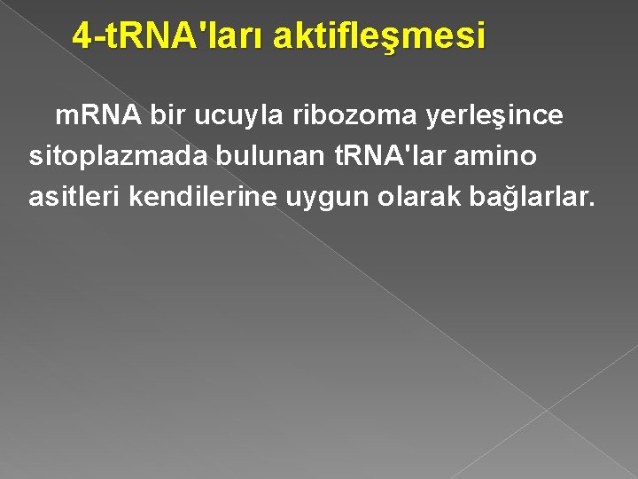 4 -t. RNA'ları aktifleşmesi m. RNA bir ucuyla ribozoma yerleşince sitoplazmada bulunan t. RNA'lar