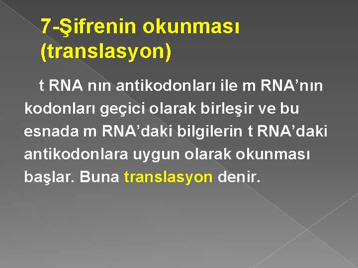 7 -Şifrenin okunması (translasyon) t RNA nın antikodonları ile m RNA’nın kodonları geçici olarak