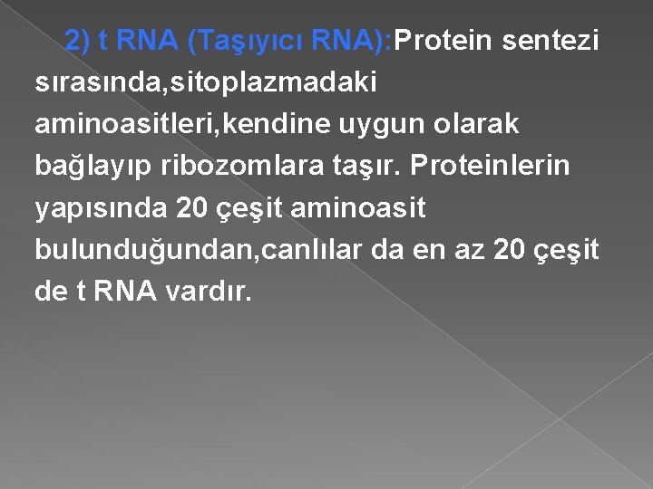 2) t RNA (Taşıyıcı RNA): Protein sentezi sırasında, sitoplazmadaki aminoasitleri, kendine uygun olarak bağlayıp