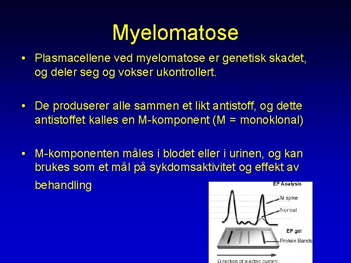 Myelomatose • Plasmacellene ved myelomatose er genetisk skadet, og deler seg og vokser ukontrollert.