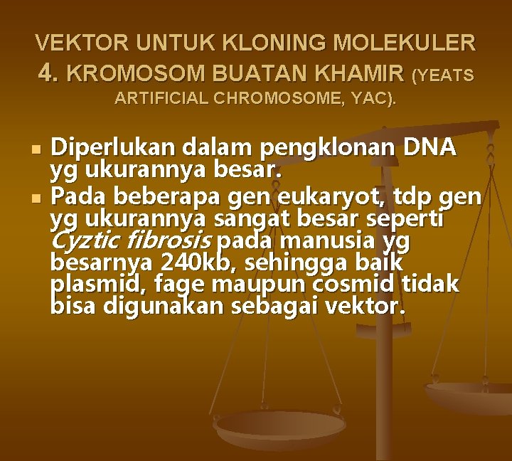 VEKTOR UNTUK KLONING MOLEKULER 4. KROMOSOM BUATAN KHAMIR (YEATS ARTIFICIAL CHROMOSOME, YAC). n n