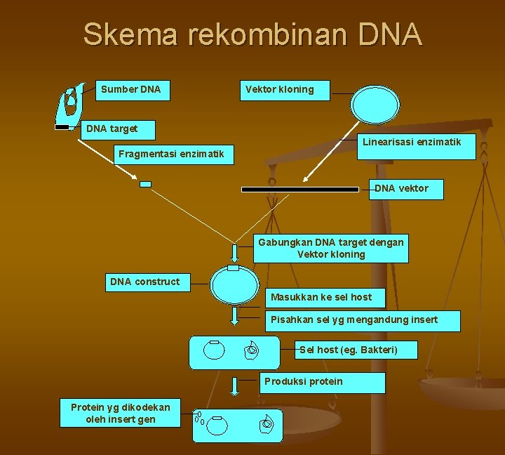 Skema rekombinan DNA Sumber DNA Vektor kloning DNA target Linearisasi enzimatik Fragmentasi enzimatik DNA