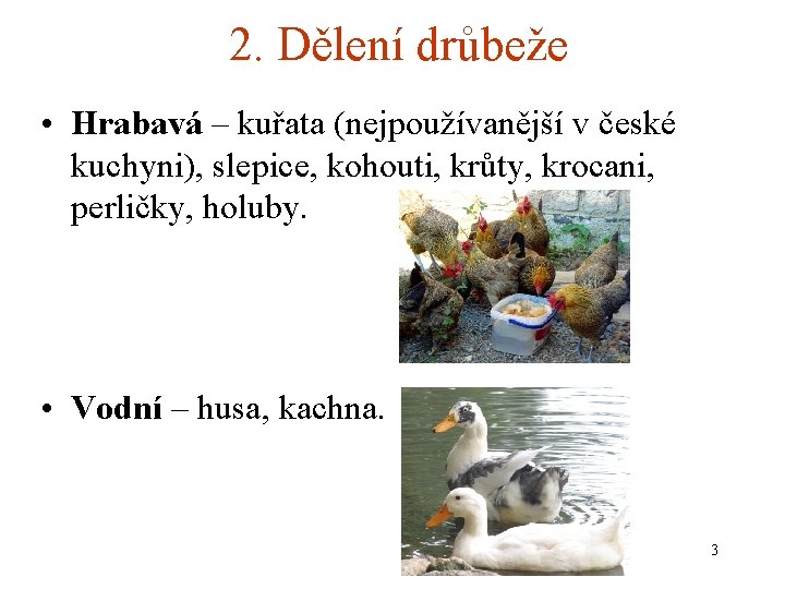 2. Dělení drůbeže • Hrabavá – kuřata (nejpoužívanější v české kuchyni), slepice, kohouti, krůty,