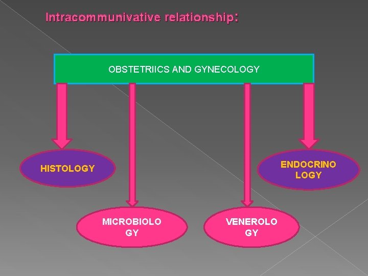  Intracommunivative relationship: OBSTETRIICS AND GYNECOLOGY ENDOCRINO LOGY HISTOLOGY MICROBIOLO GY VENEROLO GY 