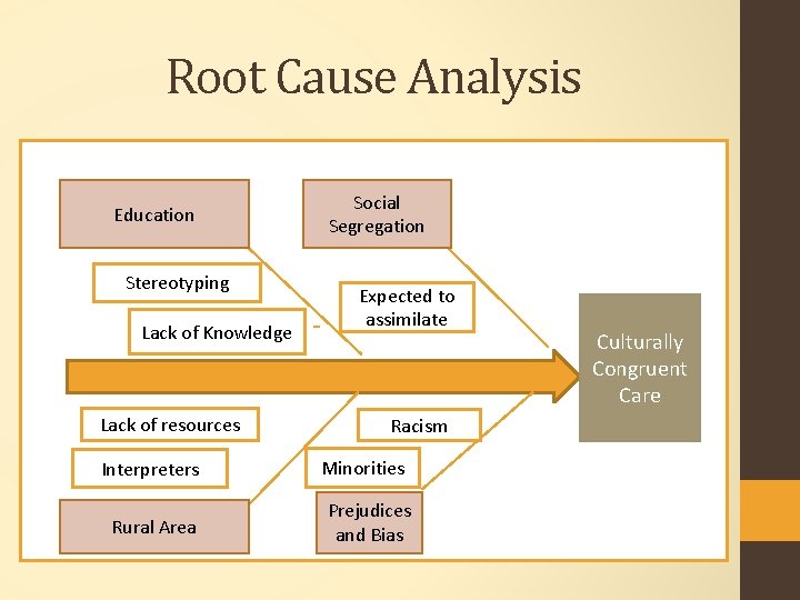 Root Cause Analysis Education Stereotyping Lack of Knowledge Lack of resources Interpreters Rural Area