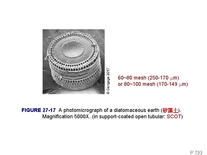 60~80 mesh (250 -170 mm) or 80~100 mesh (170 -149 mm) FIGURE 27 -17