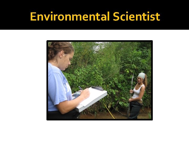 Environmental Scientist 