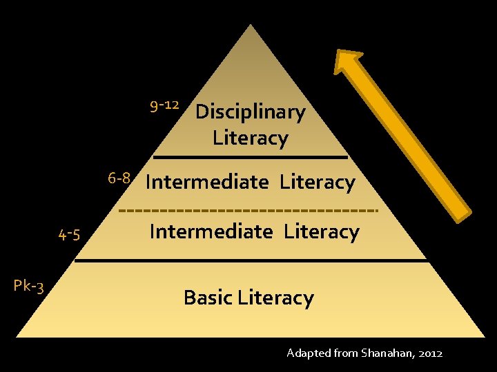 9 -12 6 -8 4 -5 Pk-3 Disciplinary Literacy Intermediate Literacy Basic Literacy Adapted