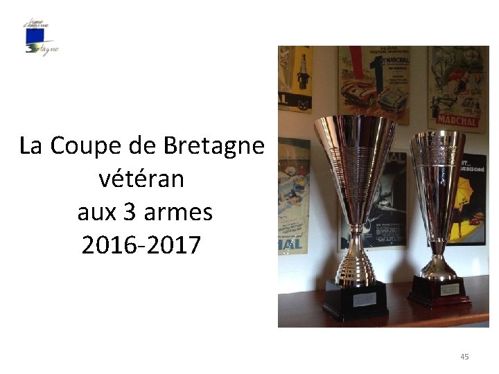 La Coupe de Bretagne vétéran aux 3 armes 2016 -2017 45 