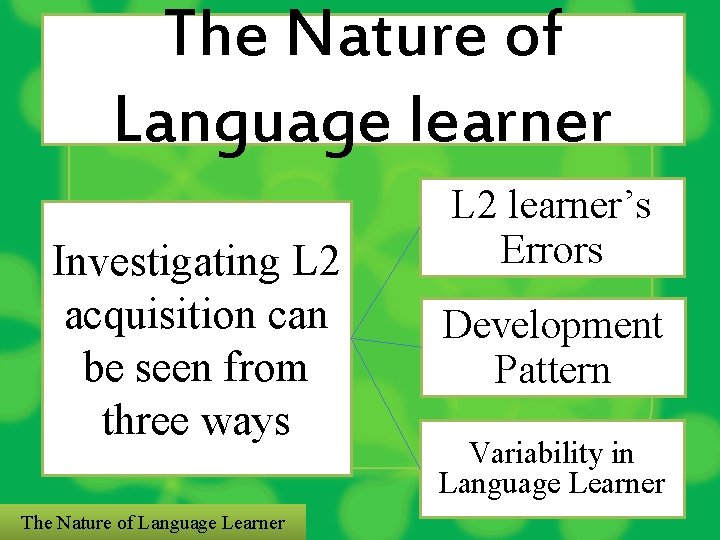 The Nature of Language learner Investigating L 2 acquisition can be seen from three