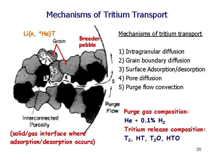Mechanisms of Tritium Transport Li(n, 4 He)T Breeder pebble (solid/gas interface where adsorption/desorption occurs)