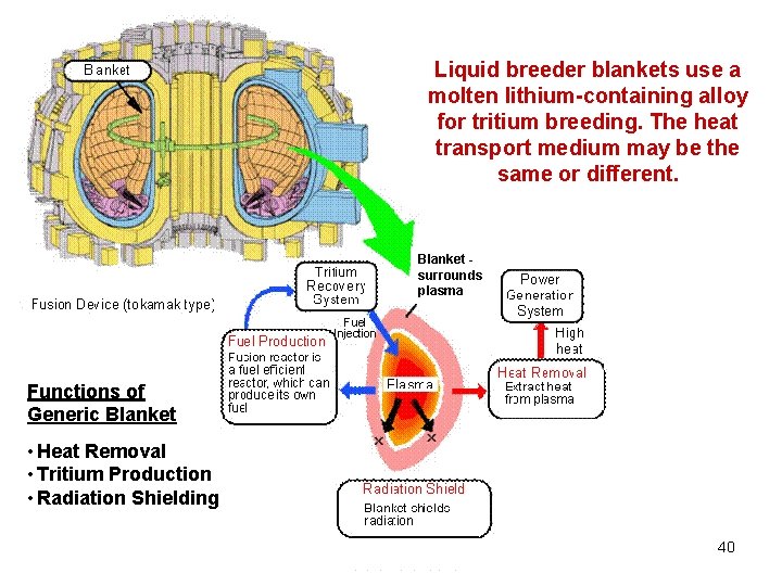 Liquid breeder blankets use a molten lithium-containing alloy for tritium breeding. The heat transport