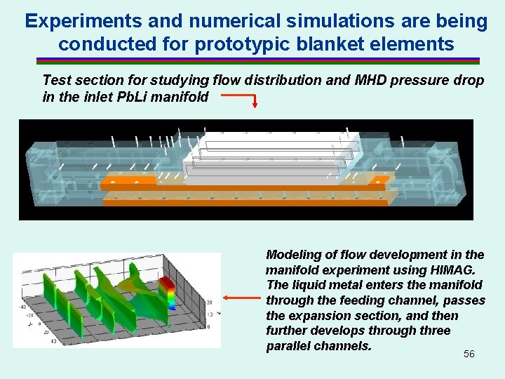 Experiments and numerical simulations are being conducted for prototypic blanket elements Test section for