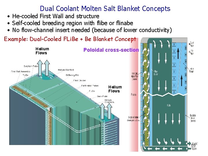 Dual Coolant Molten Salt Blanket Concepts • He-cooled First Wall and structure • Self-cooled