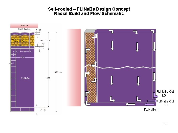 Self-cooled – FLi. Na. Be Design Concept Radial Build and Flow Schematic FLINa. Be