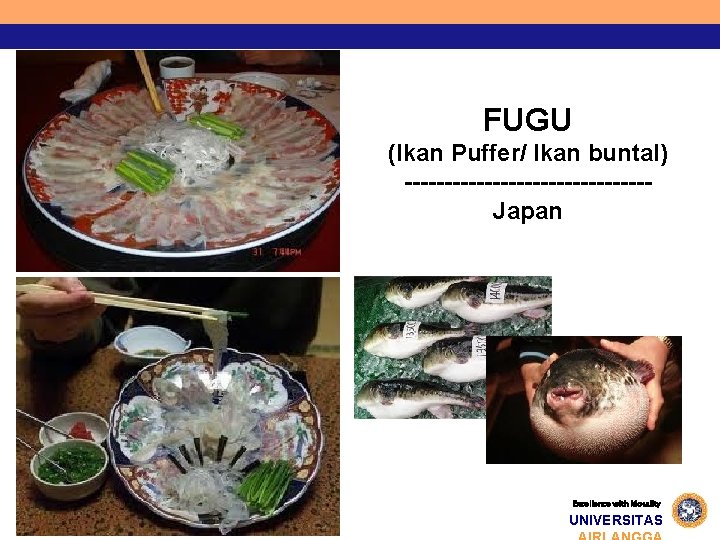 FUGU (Ikan Puffer/ Ikan buntal) ---------------Japan Excellence with Morality UNIVERSITAS 
