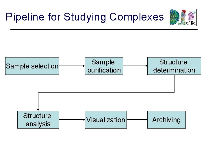 Pipeline for Studying Complexes Sample selection Structure analysis Sample purification Structure determination Visualization Archiving