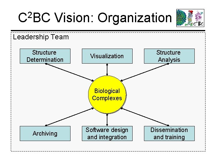 C 2 BC Vision: Organization Leadership Team Structure Determination Visualization Structure Analysis Biological Complexes