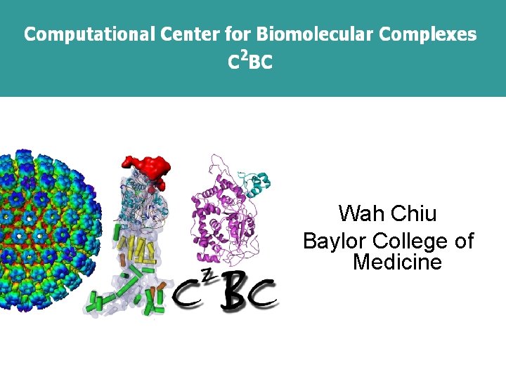 Wah Chiu Baylor College of Medicine 