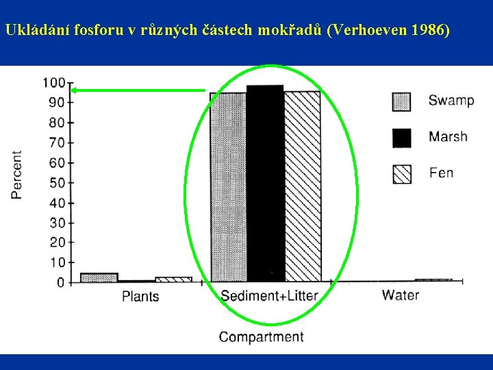 Ukládání fosforu v různých částech mokřadů (Verhoeven 1986) 3/11/2021 52 