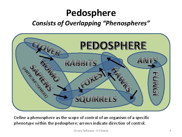 Pedosphere Consists of Overlapping “Phenospheres” CLO VER PEDOSPHERE FUNGI W FO SQUIRRELS KS S
