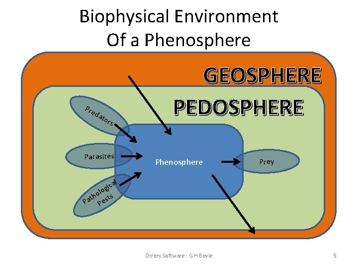 Biophysical Environment Of a Phenosphere Pre dat o rs Parasites GEOSPHERE PEDOSPHERE Phenosphere Prey