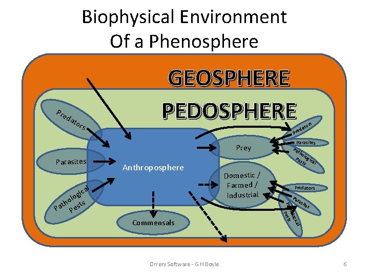 Biophysical Environment Of a Phenosphere Pre d ato rs GEOSPHERE PEDOSPHERE Prey Parasites rs