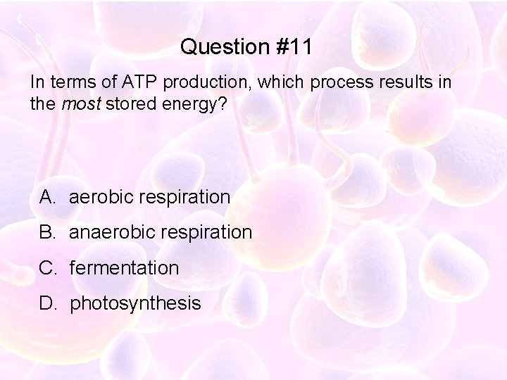 Question #11 In terms of ATP production, which process results in the most stored