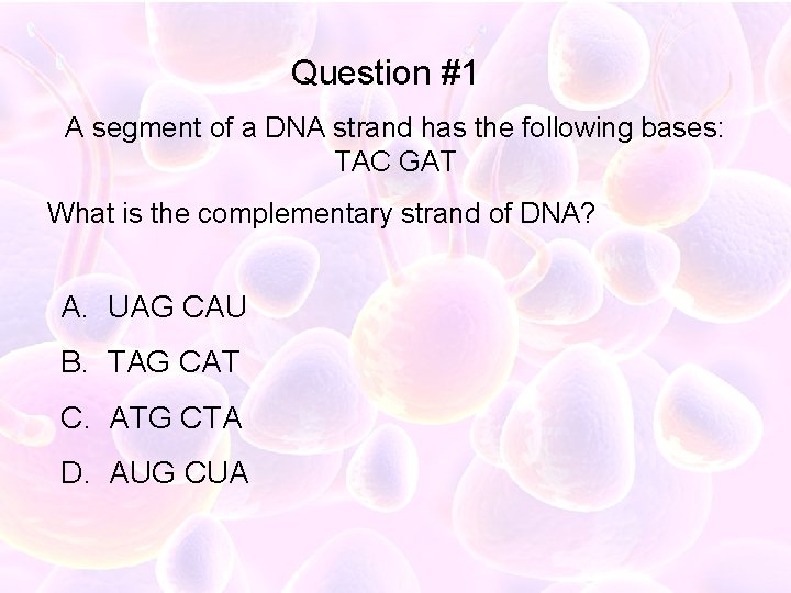 Question #1 A segment of a DNA strand has the following bases: TAC GAT