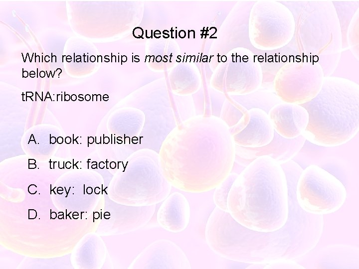 Question #2 Which relationship is most similar to the relationship below? t. RNA: ribosome