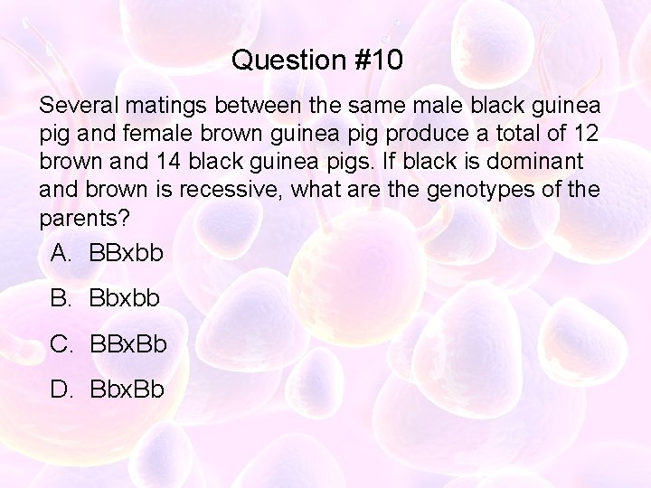 Question #10 Several matings between the same male black guinea pig and female brown