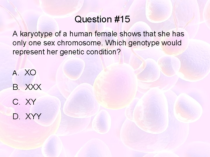 Question #15 A karyotype of a human female shows that she has only one
