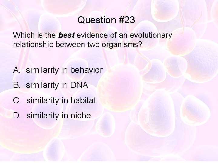 Question #23 Which is the best evidence of an evolutionary relationship between two organisms?
