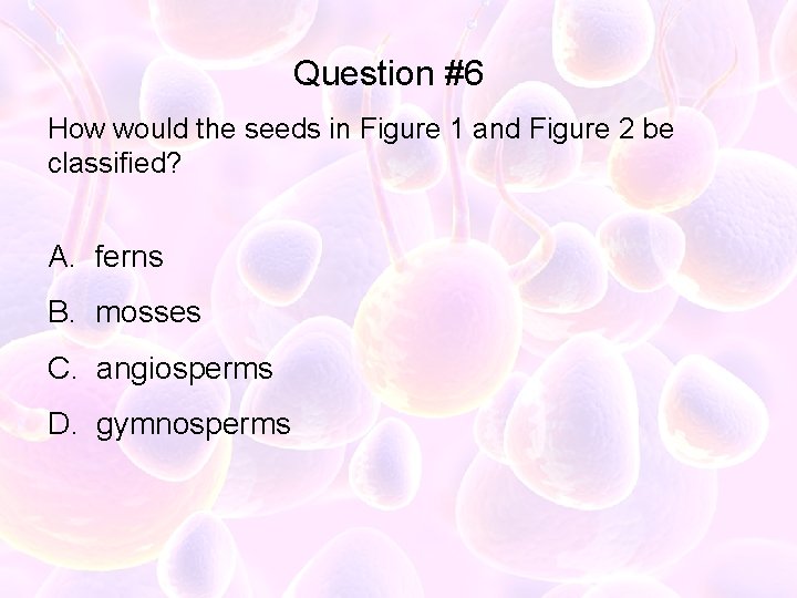 Question #6 How would the seeds in Figure 1 and Figure 2 be classified?