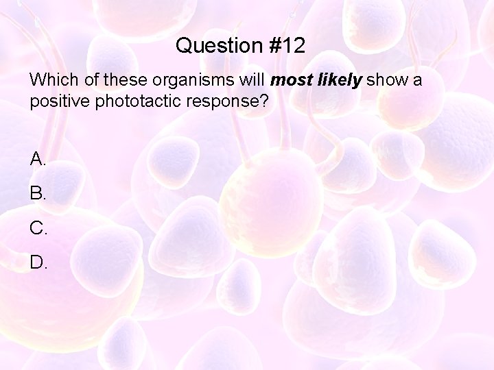 Question #12 Which of these organisms will most likely show a positive phototactic response?